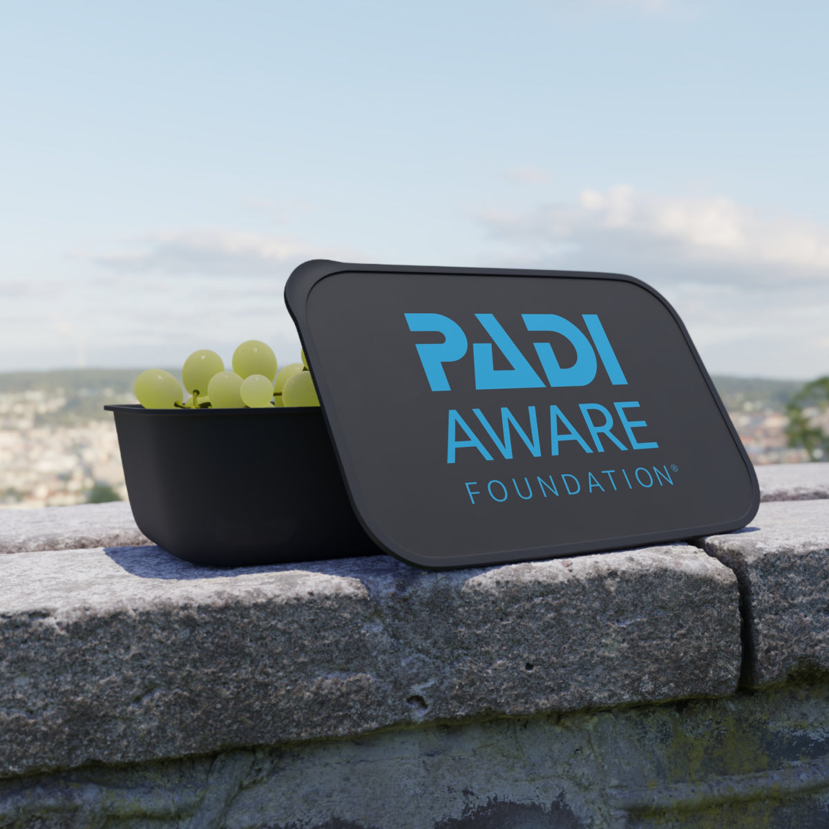 PADI AWARE Foundation Diving Conservation Bento Box